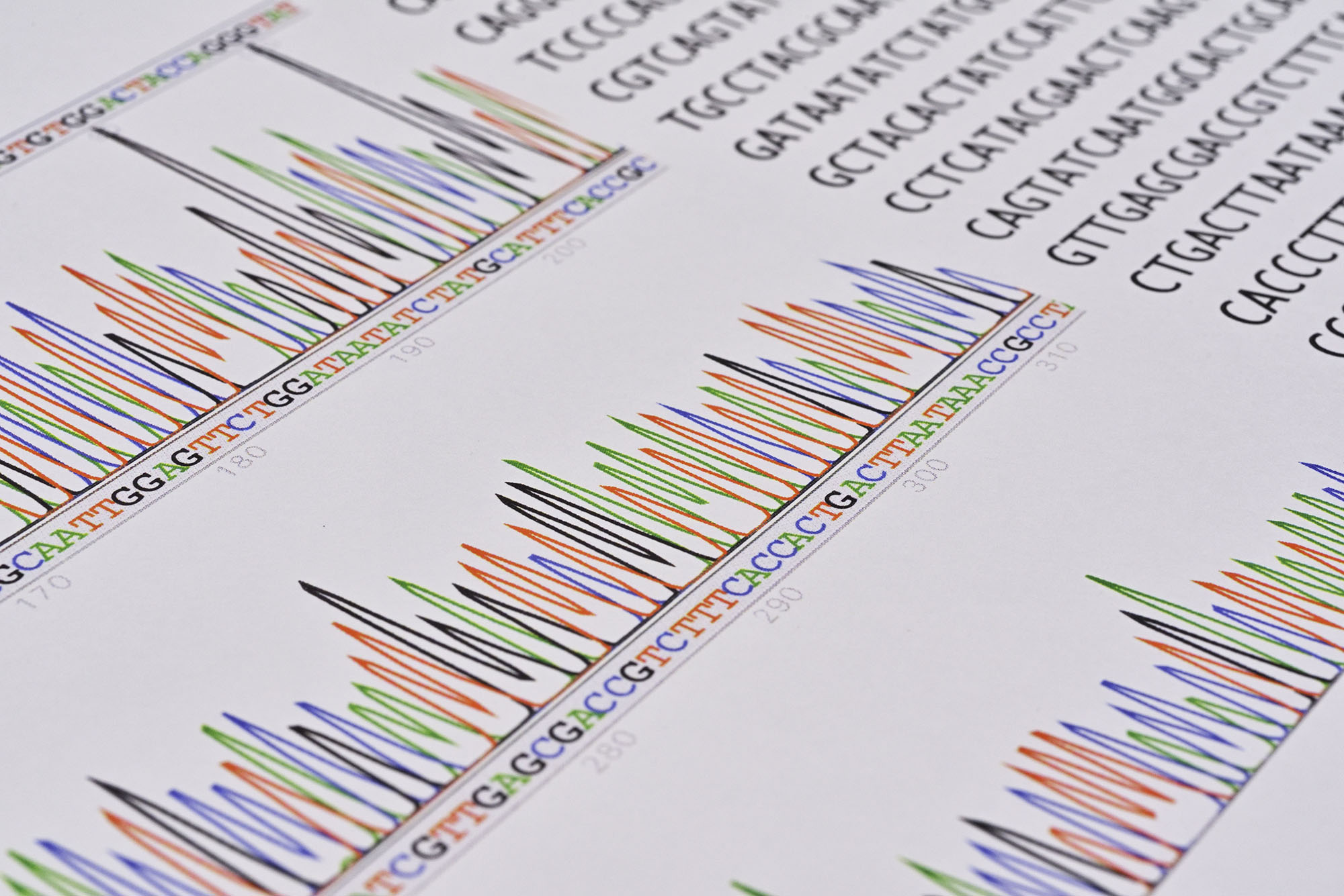 BioSODA: An intuitive search function for bioinformatics databases